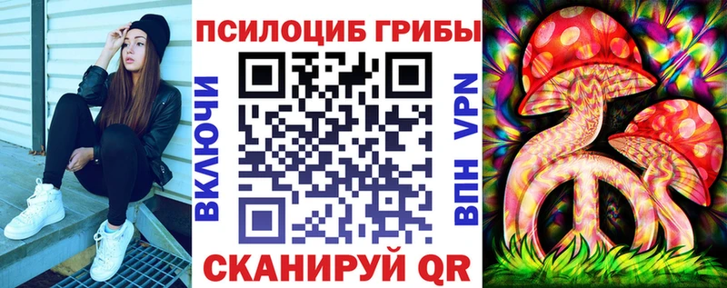 Псилоцибиновые грибы GOLDEN TEACHER Луга