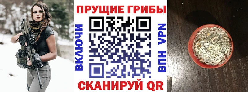 Псилоцибиновые грибы MAGIC MUSHROOMS  Луга 
